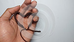 a photo of a person holding a heart-shaped brown bracelet