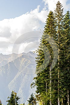 Photo of picturesque mountainous area with trees and cloudy sky