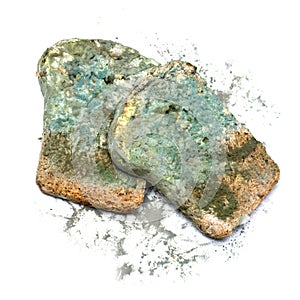 Mold bread