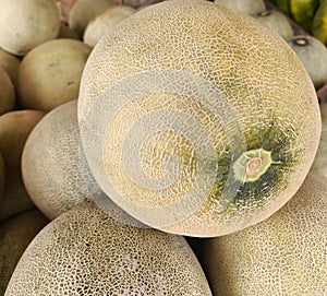 Photo of a pile of large, fresh melons that are ripe, the inside is fresh, green and yellow.