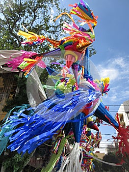 Holiday Pinatas in Downtown Mexico City photo