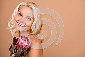 Photo portrait of attractive gorgeous retired woman hold big proteus flower smile shoulders off isolated on beige color