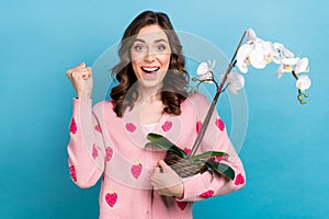 Photo portrait of attractive woman raise fist orchid flower dressed stylish pink strawberry print outfit isolated on