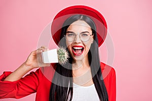 Photo portrait of crazy girl biting cactus isolated on pastel pink colored background