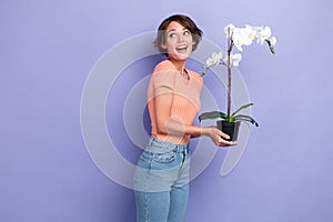 Photo portrait of cute young lady hold orchid look excited empty space dressed stylish striped clothes isolated on