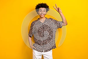 Photo portrait of funky youngster guy showing v sign greetings symbol hello people tourist shopping ad isolated on