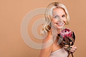 Photo portrait of lovely stunning pensioner lady hold beautiful pink proteus flower shoulders off  on beige