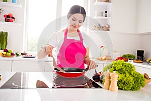 Photo of pretty charming young lady wear pink apron cooking dinner fryingpan smiling indoors room home house