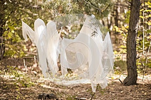 Photo project for Halloween in nature. Three white ghosts in the forest of gauze