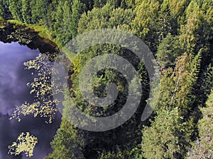 Photo from a quadrocopter of a magic lake in the taiga of Russia