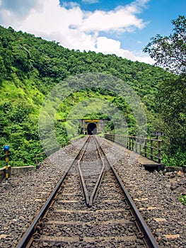 Photo of a railway track passing through a tunnel cut through a hill full of green plants