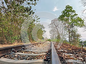 Photo of railway tracks in forest