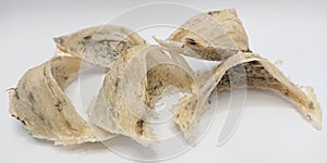 Photo of Raw Aerodramus fusigagus bird nest isolated in white background