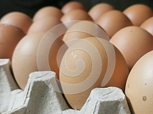 Photo of raw brown chicken eggs in egg box.