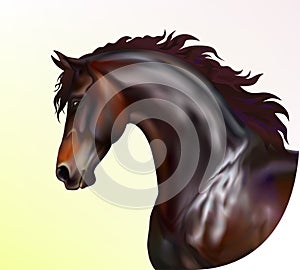 Photo realistic horse portrait