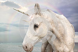 Photo Realistic Unicorn