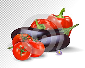 Photo-realistic vector. Colorful fresh group of vegetables. Eggplants and tomatoes. 3d illustration