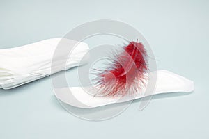 A photo of red feather flying above the menstrual sanitary daily woman pad. Hygiene conceptual photo. Woman critical days, menstru