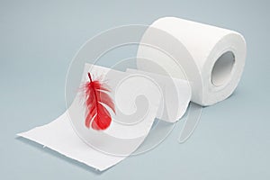 A photo of red feather and a tiolet paper roll. Hemorrhoids, constipation treatment health problems. Menstrual or hemorrhoids blee