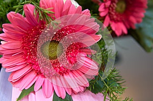 Photo of a Red Flower Upclose