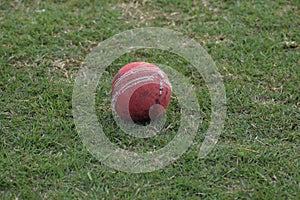 Photo of a red leather cricket ball with stitched seams on grass, cricket ball on green grass pitch with copy space, Close up Cric