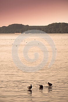 Twilight on the river, Dunav River, Belgrade, Serbia