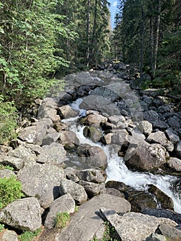 Fotografie řeky v horách.