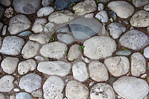 Photo of the road exactly paved with stones