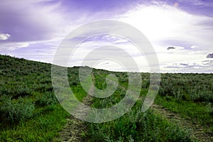 Photo of the road in the field, the road against the background of tubercles.