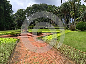 this photo of the road in the middle of the park, which is located in the Bogor Botanical Gardens, West Java, Indonesia,