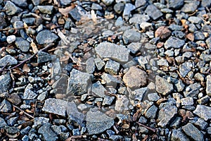 Photo of rocks on a trail in Delaware.
