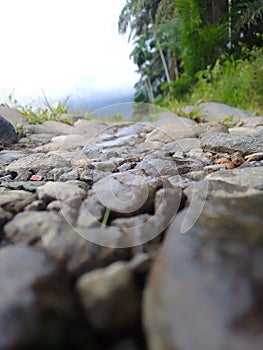 The photo of the rocky road in my rice field is very beautiful to look at photo