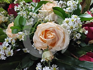 photo of roses arranged in a bouquet of flowers, combined with chrysanthemums
