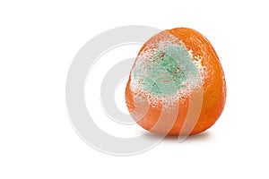 A photo of rotten moldy orange, tangerine isolated on white background. A photo of the growing mold. Food contamination, bad spoil