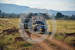 Photo safari. Mikumi National Park, Tanzania