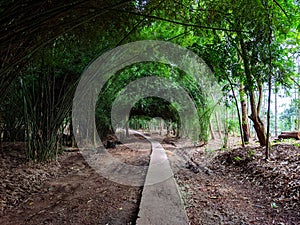 photo of scenery in bamboo forest nature tourism, bamboe wanadesa balikpapan Indonesia