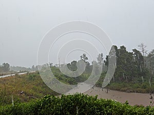 Photo of scenery and greenery on Balang Island, Kalimantan, Indonesia