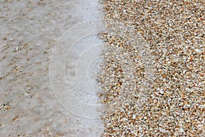 Photo of seashells on the seashore, mediterranean sea