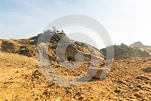 In the photo we see a sand dune, a small sandy hill. At the top of the hill, grass dried from the hot sun. Clear blue sky. In the