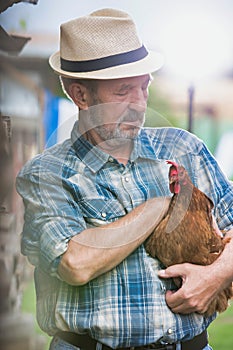 Photo of senior farmer wearing hat while carrying hen at barn