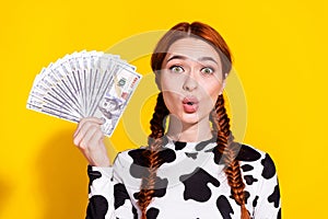 Photo of shocked funky lady dressed cowskin print top lips pouted holding cash fan isolated yellow color background photo