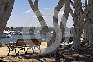 San Diego park benches at shoreline by the Bay and Historical Spanish Landing. Boats and Point Loma in the distance. photo