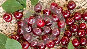 The photo shows ripe cherries