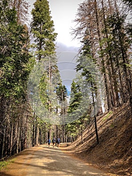 Tourists Hiking Through The Trail photo