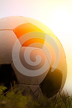 Photo of a soccer ball on grass