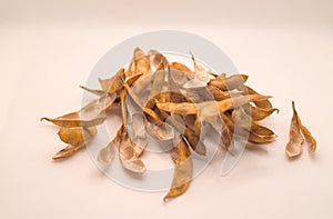 Photo of soybean husks isolated