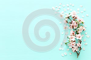 photo of spring white cherry blossom tree on pastel mint wooden background. View from above, flat lay. photo
