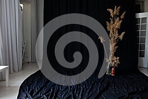 Photo studio interior with flowers and black fabric