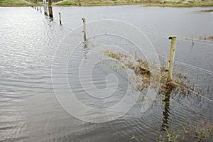 Photo of Submerged fence posts