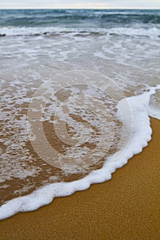 Photo of the sunny summer sandy beach